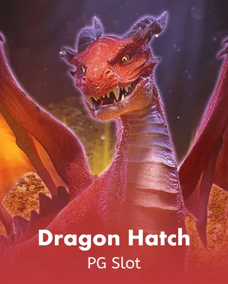 dragon hatch melhor horario